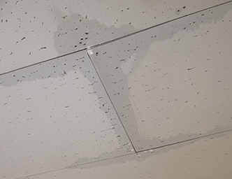 屋上からの漏水による天井のシミ